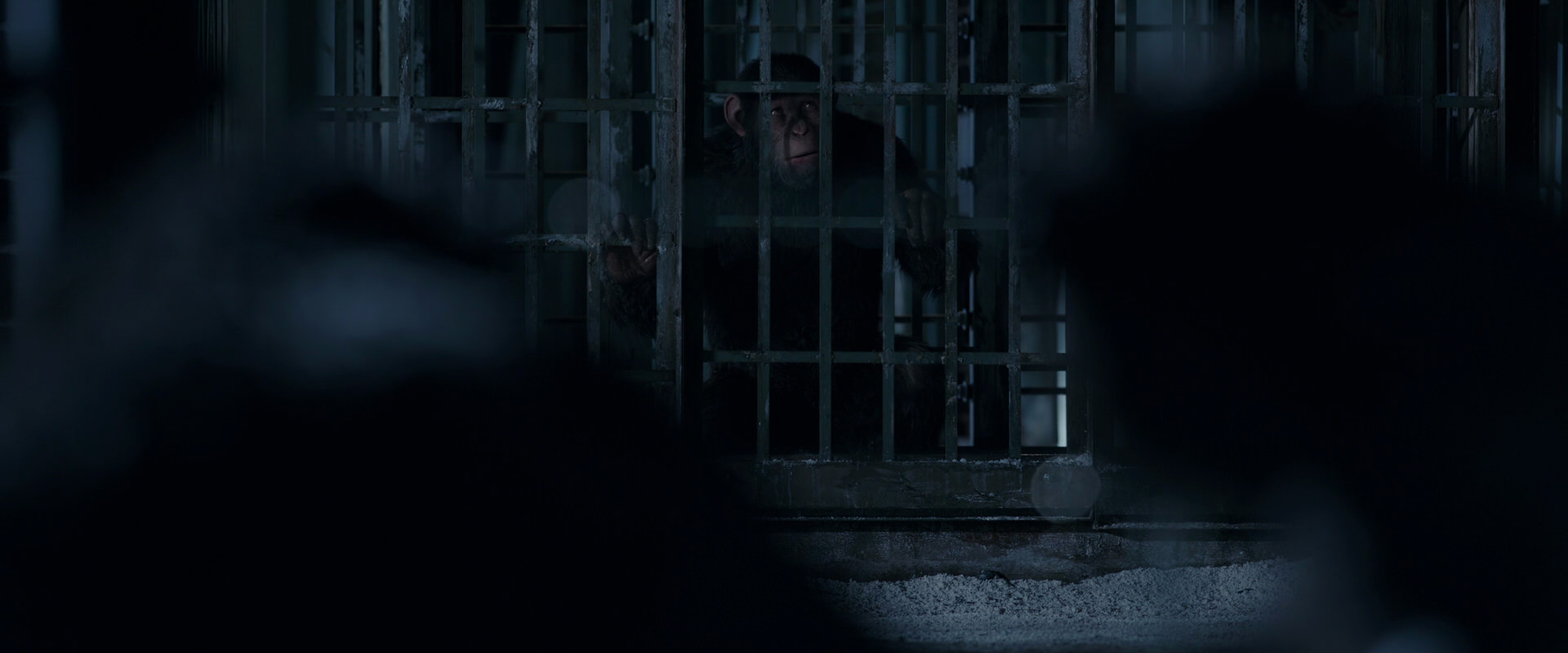 War for the Planet of the Apes (2017) movie still 12493