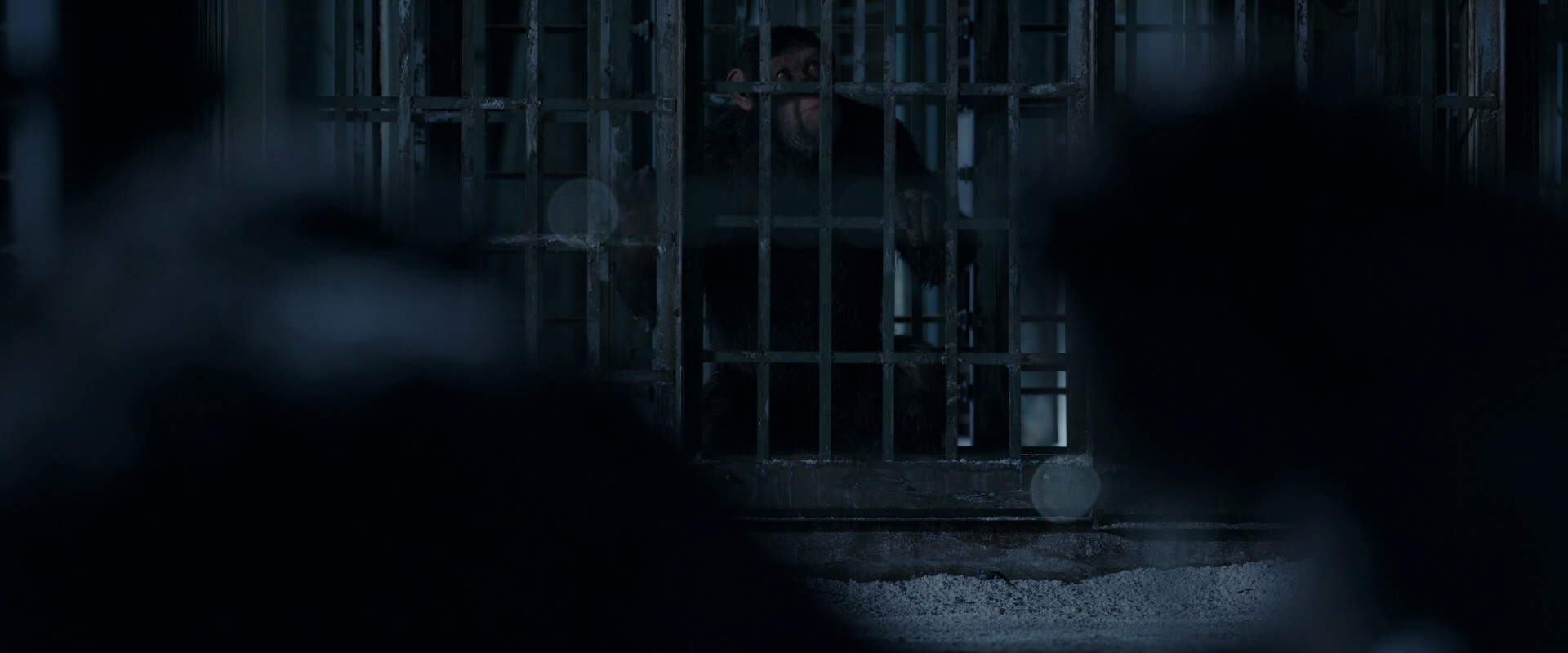 War for the Planet of the Apes (2017) HD screenshot 12494
