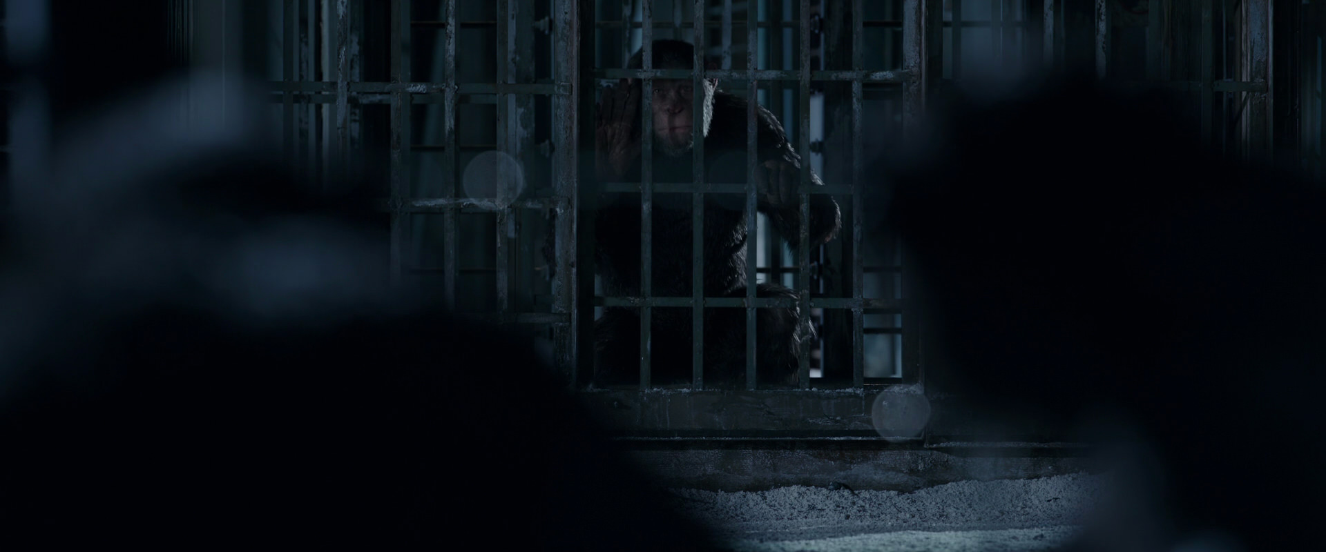 War for the Planet of the Apes (2017) screencap 12495