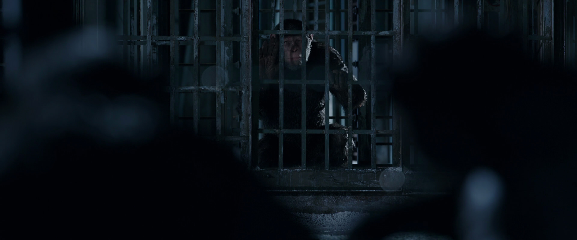 War for the Planet of the Apes (2017) movie still 12496