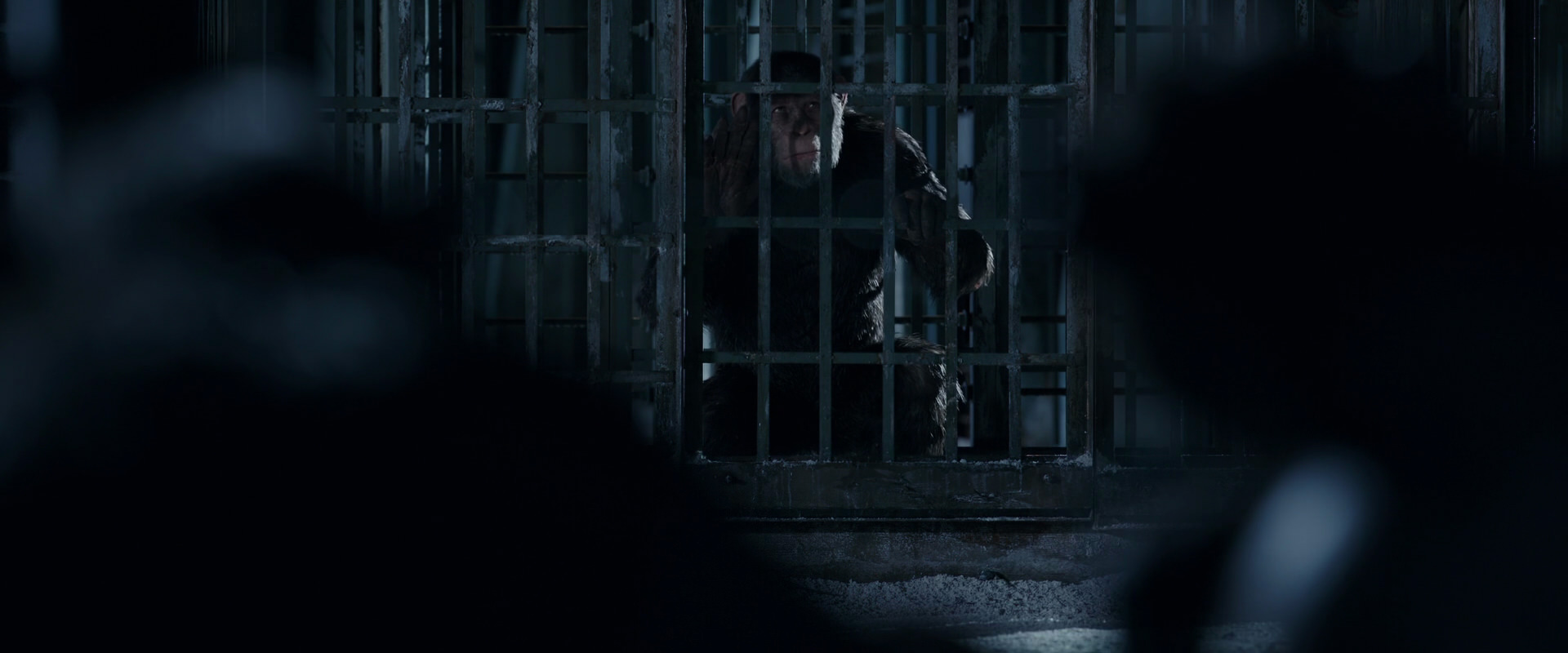 War for the Planet of the Apes (2017) HD screenshot 12497