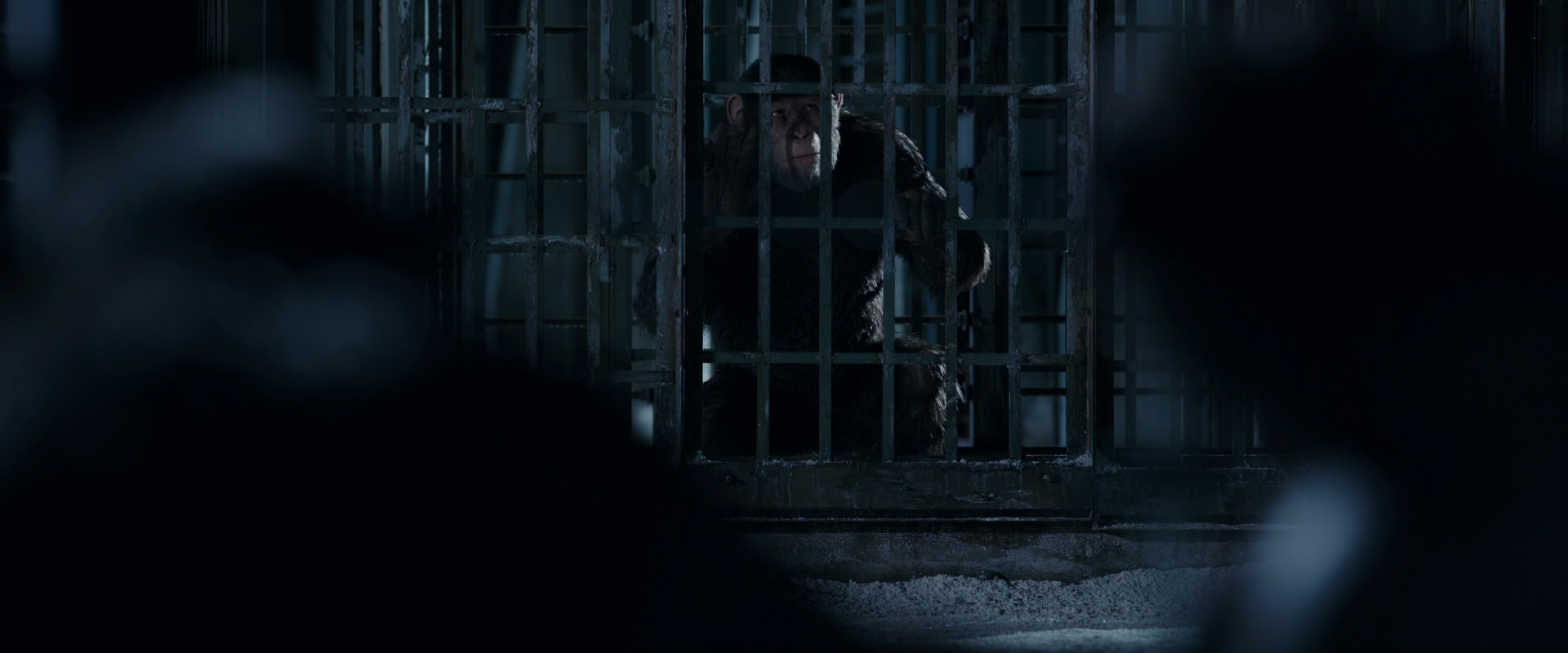 War for the Planet of the Apes (2017) screencap 12498