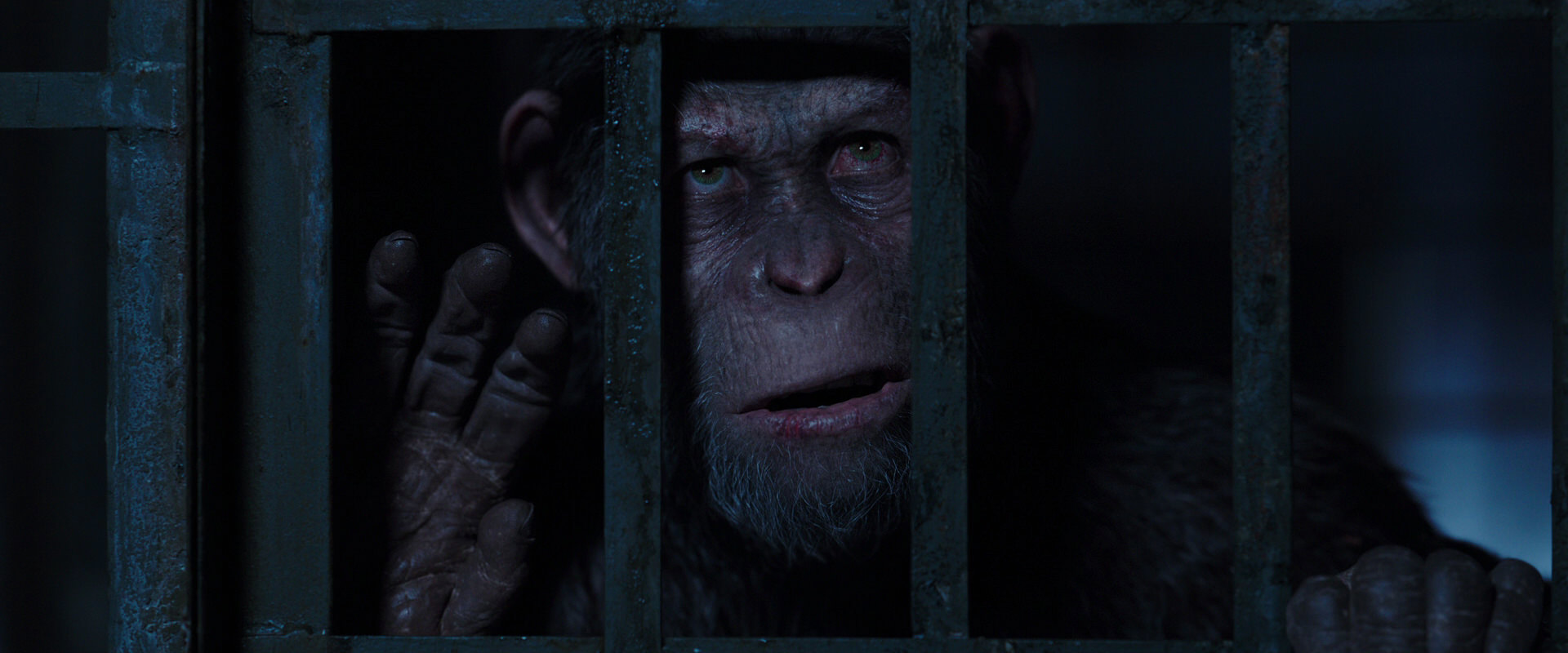 War for the Planet of the Apes (2017) movie still 12505