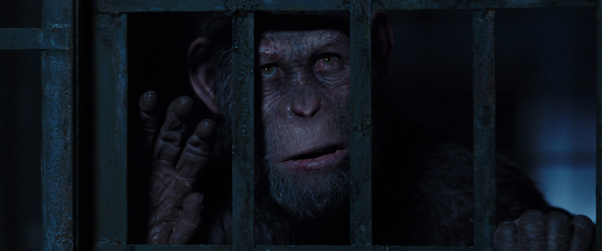 War for the Planet of the Apes (2017) HD screenshot 12506