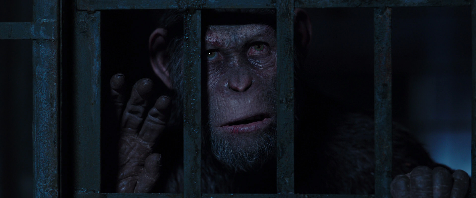 War for the Planet of the Apes (2017) screencap 12507