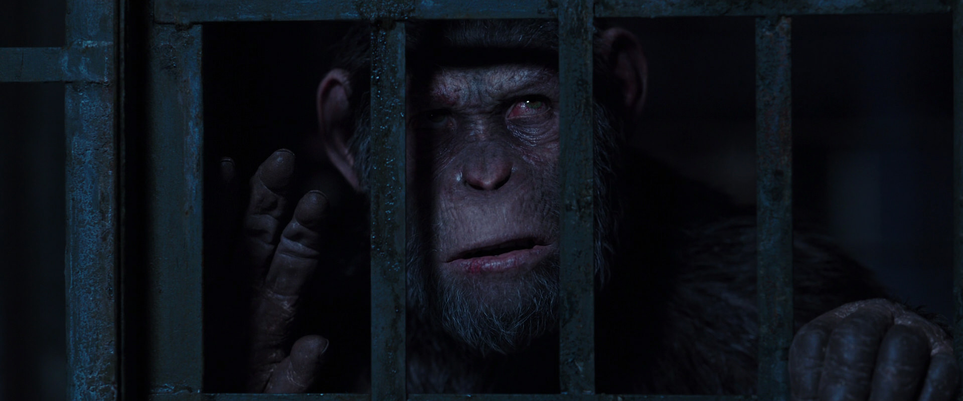 War for the Planet of the Apes (2017) movie still 12523