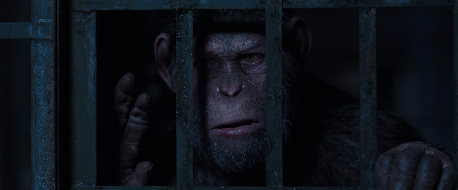 War for the Planet of the Apes (2017) HD screenshot 12524