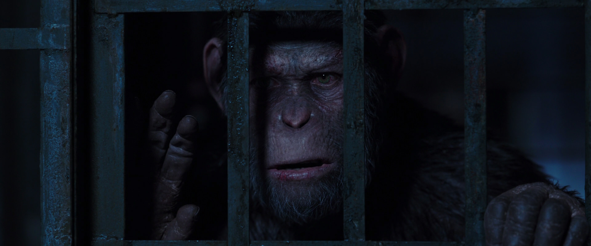War for the Planet of the Apes (2017) screencap 12525