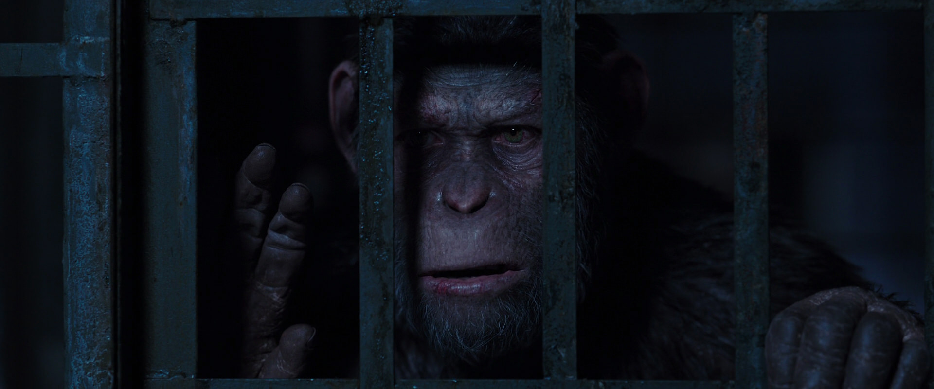War for the Planet of the Apes (2017) movie still 12526