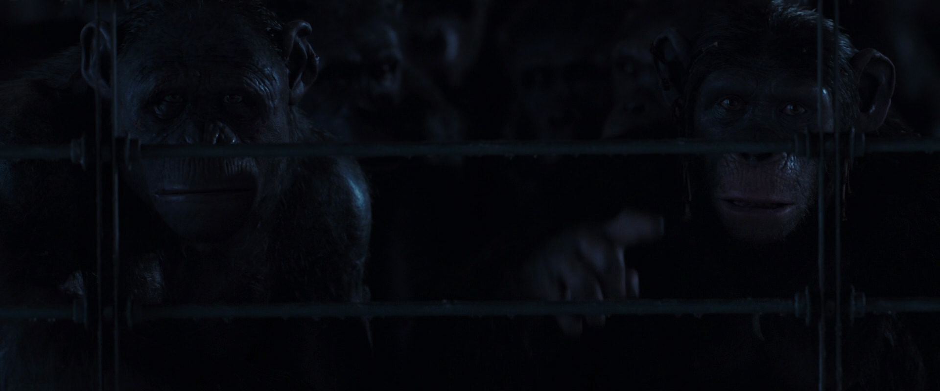War for the Planet of the Apes (2017) HD screenshot 12527