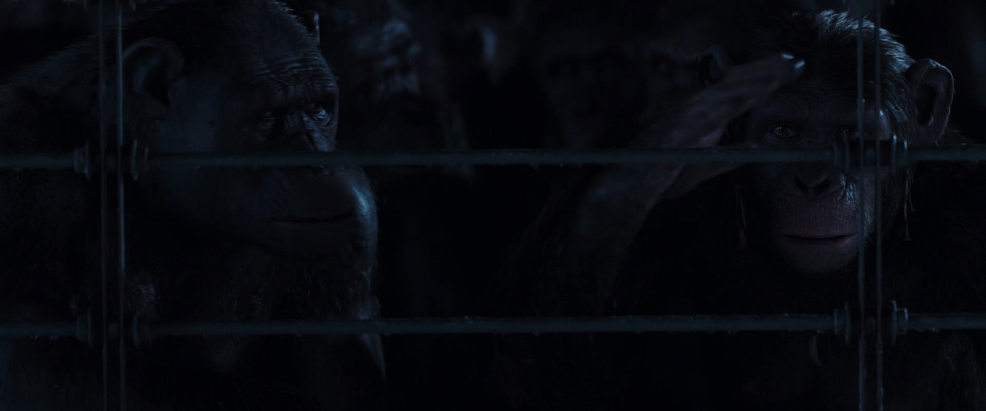 War for the Planet of the Apes (2017) screencap 12528