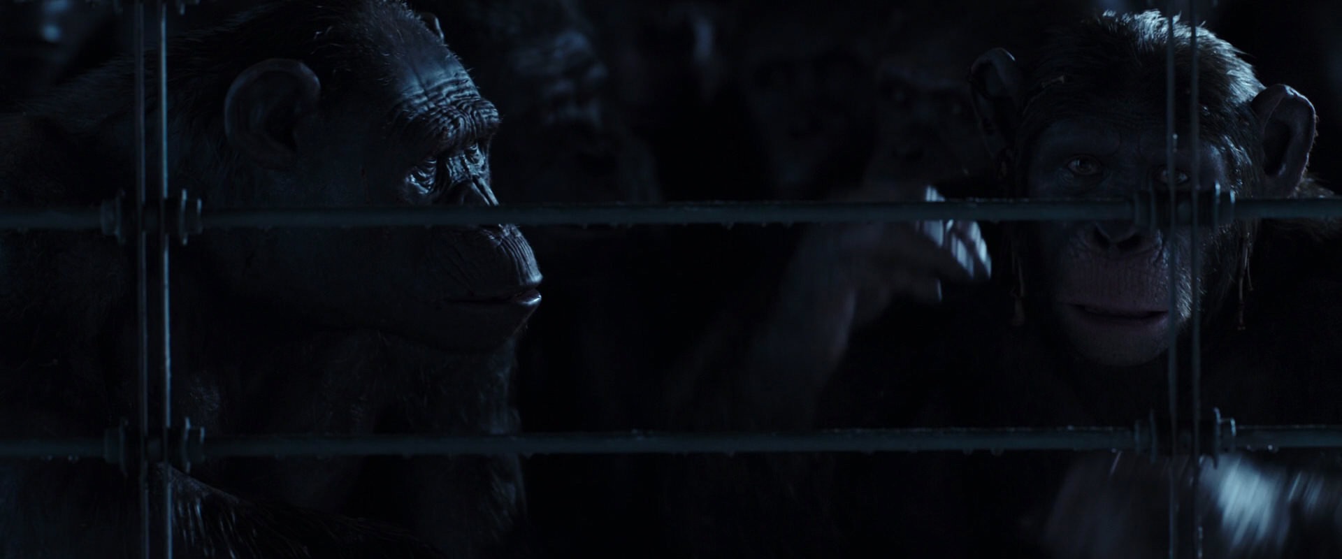 War for the Planet of the Apes (2017) movie still 12529