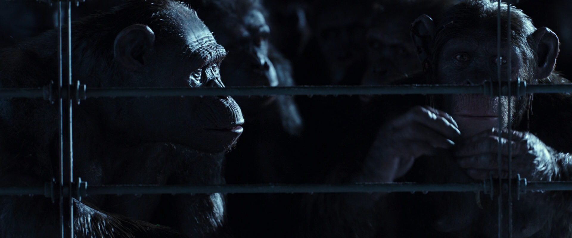 War for the Planet of the Apes (2017) HD screenshot 12530