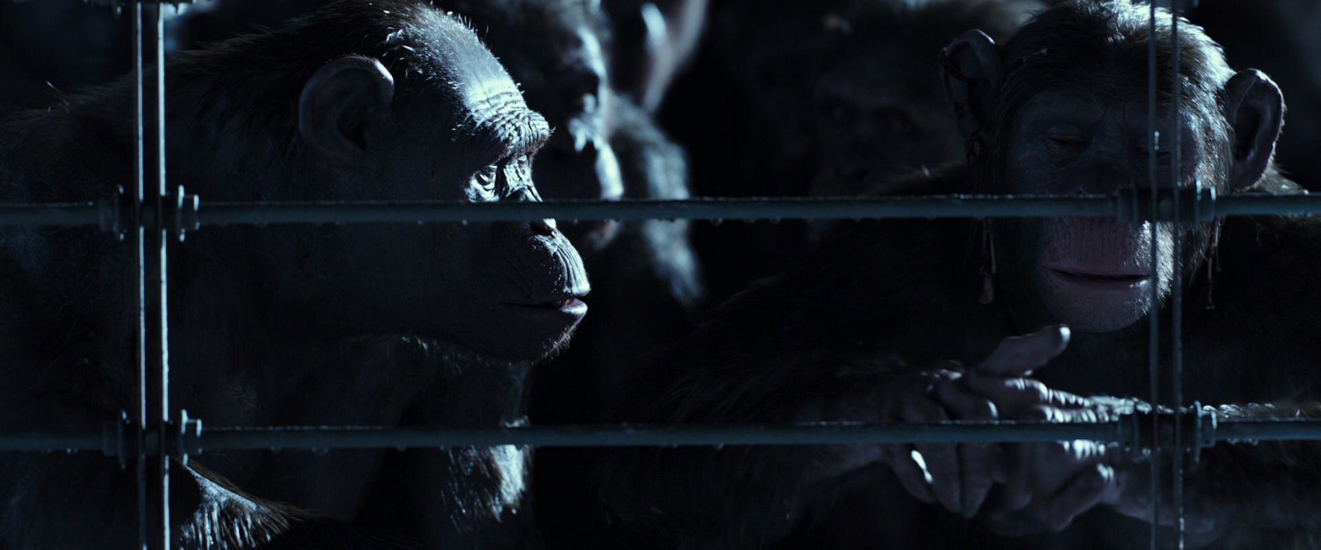 War for the Planet of the Apes (2017) screencap 12531