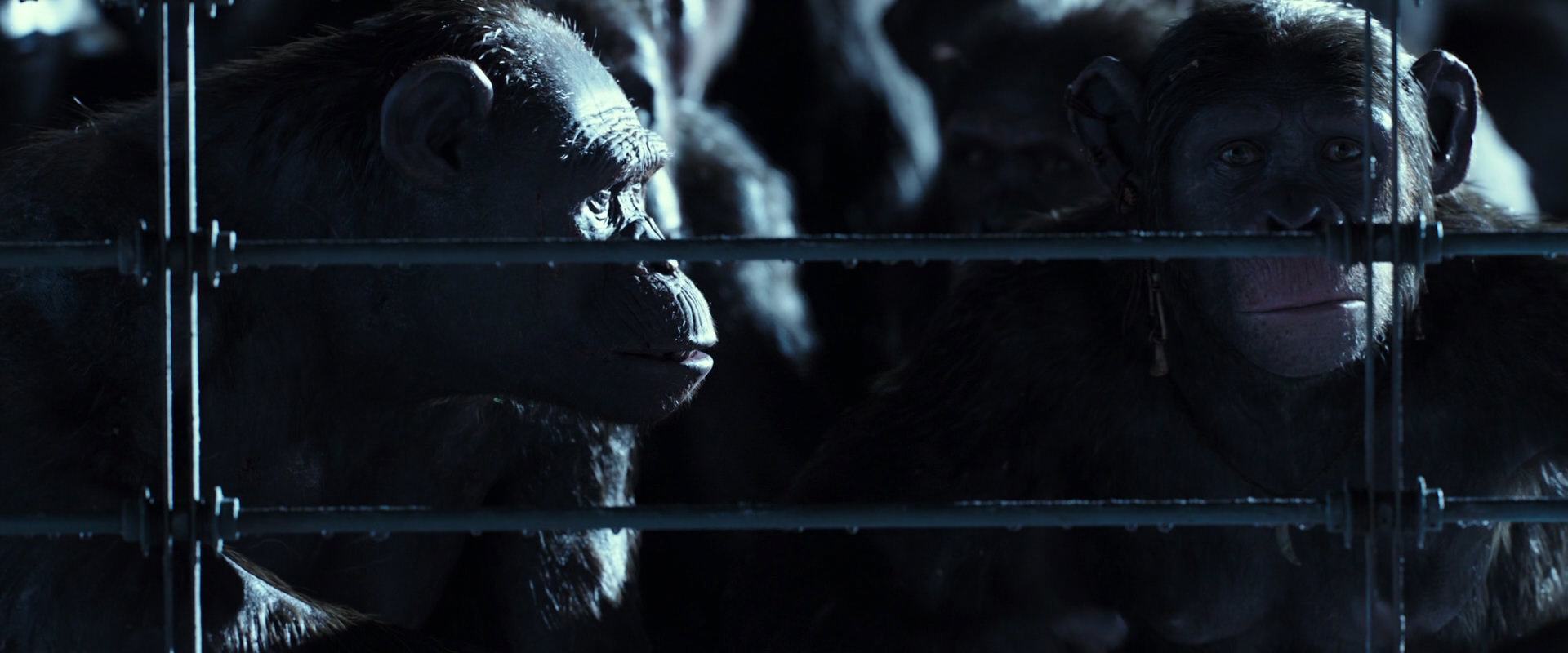 War for the Planet of the Apes (2017) movie still 12532