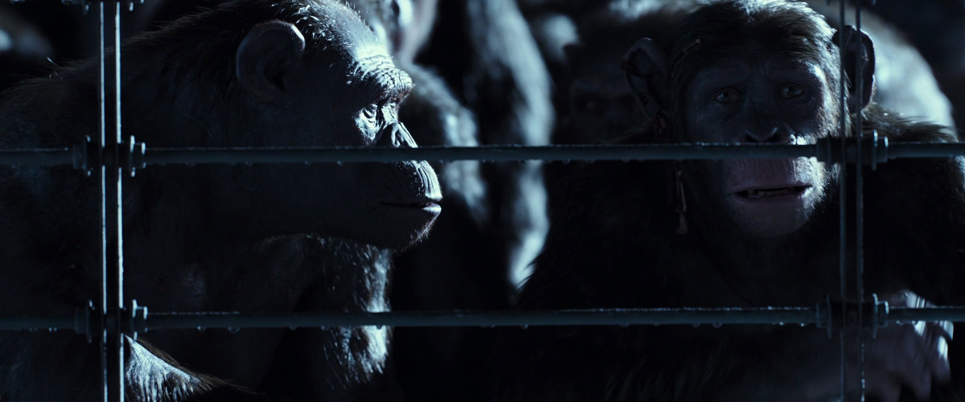 War for the Planet of the Apes (2017) HD screenshot 12533