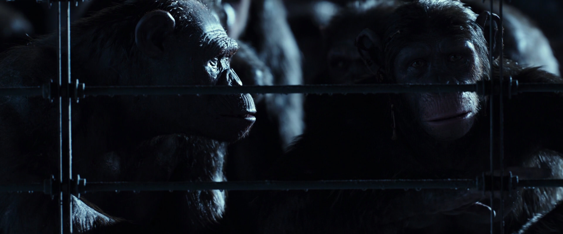 War for the Planet of the Apes (2017) screencap 12534