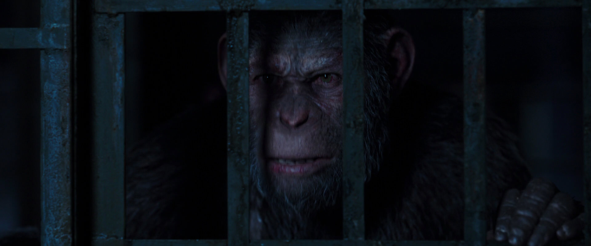 War for the Planet of the Apes (2017) movie still 12535