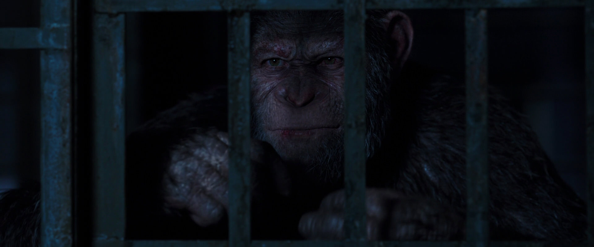 War for the Planet of the Apes (2017) screencap 12537