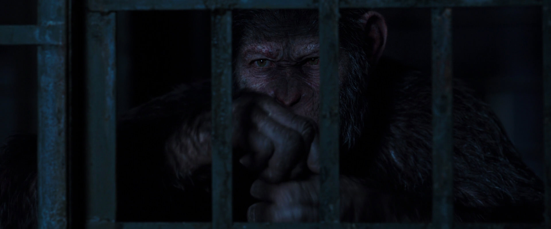 War for the Planet of the Apes (2017) movie still 12538