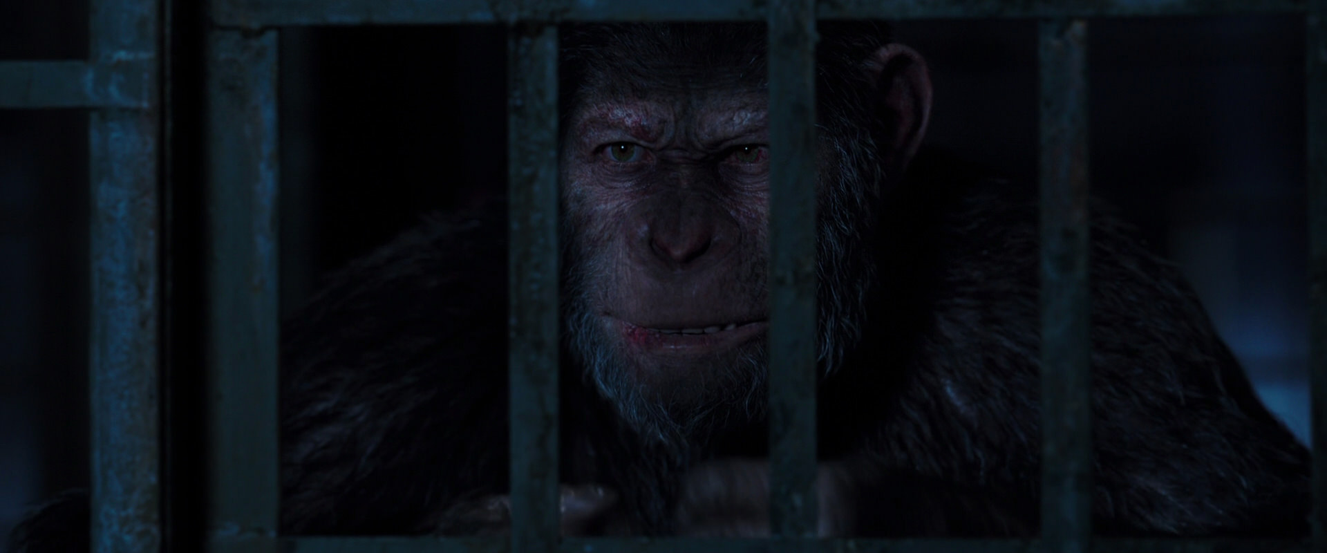War for the Planet of the Apes (2017) HD screenshot 12539