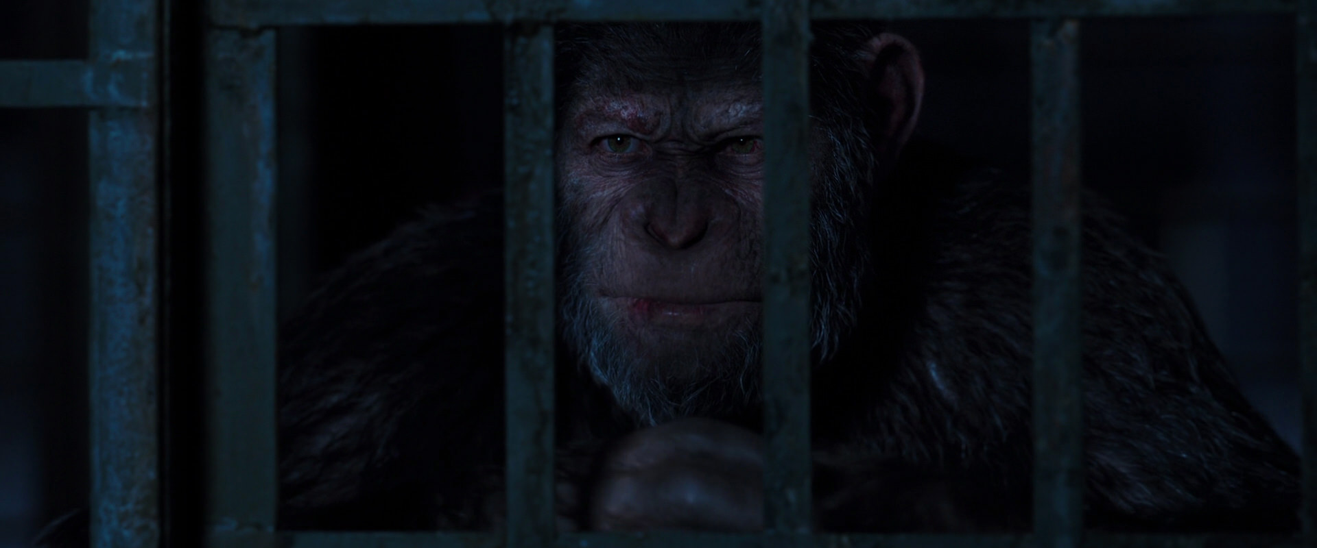 War for the Planet of the Apes (2017) screencap 12540
