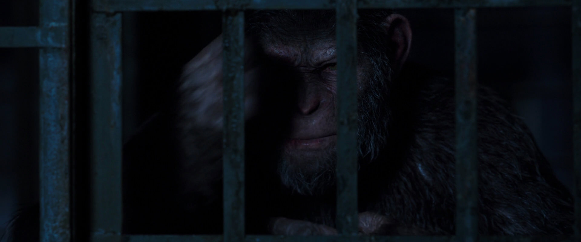 War for the Planet of the Apes (2017) movie still 12541