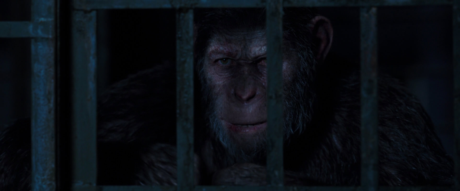 War for the Planet of the Apes (2017) HD screenshot 12542