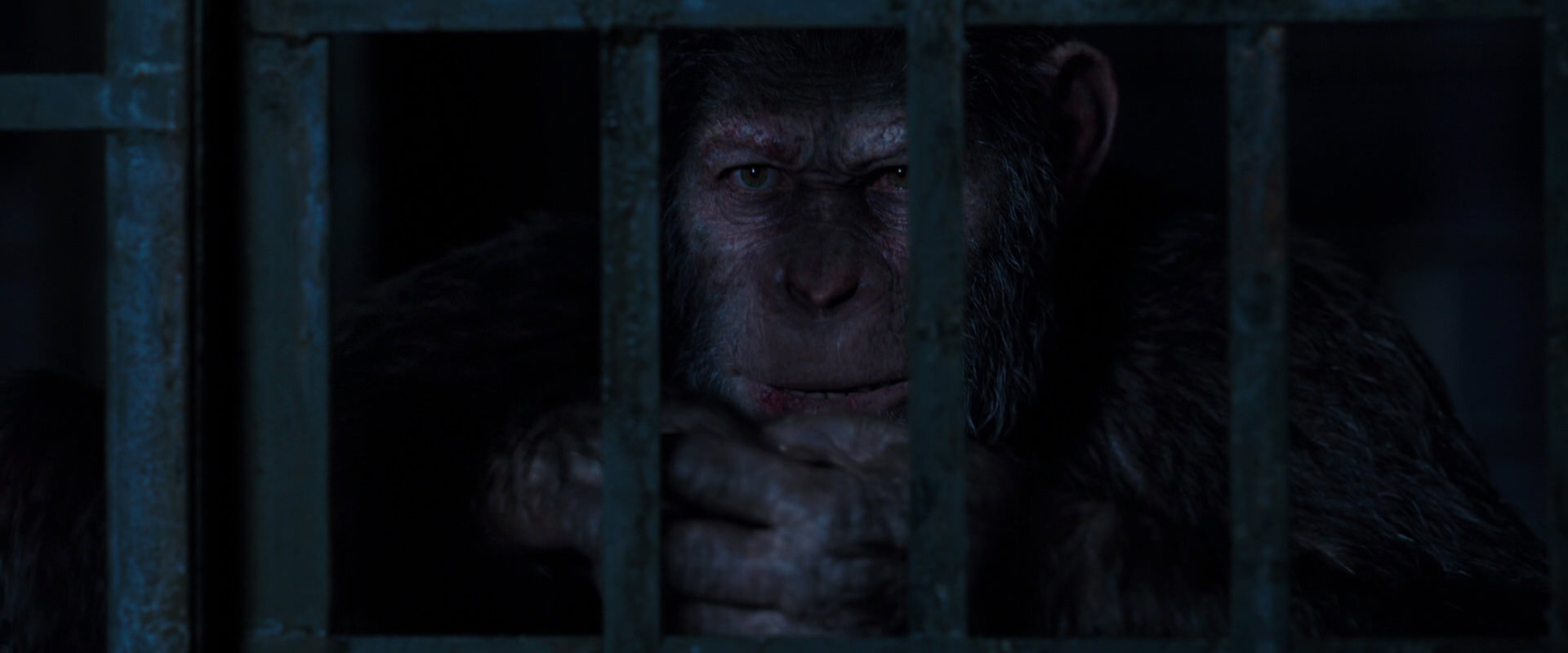 War for the Planet of the Apes (2017) screencap 12543