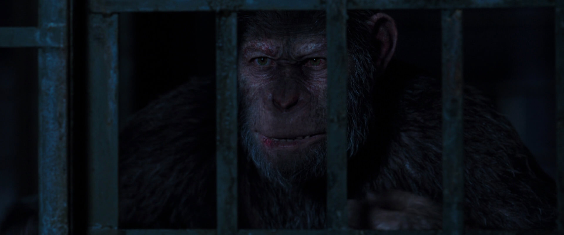 War for the Planet of the Apes (2017) movie still 12544