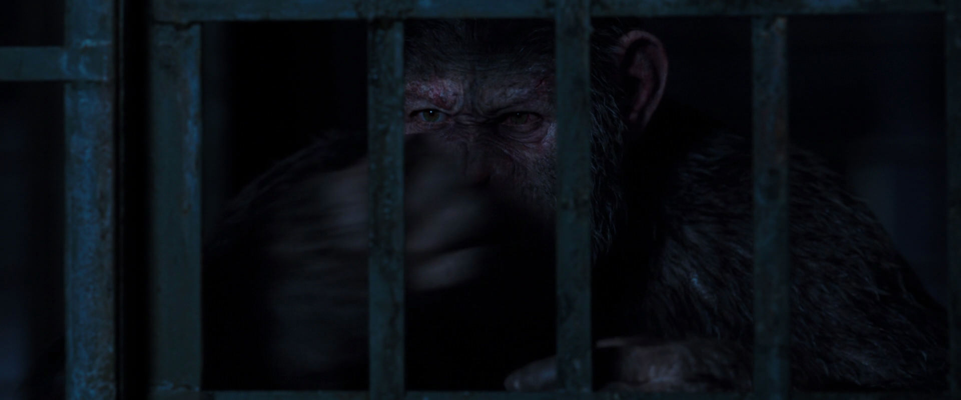 War for the Planet of the Apes (2017) HD screenshot 12545