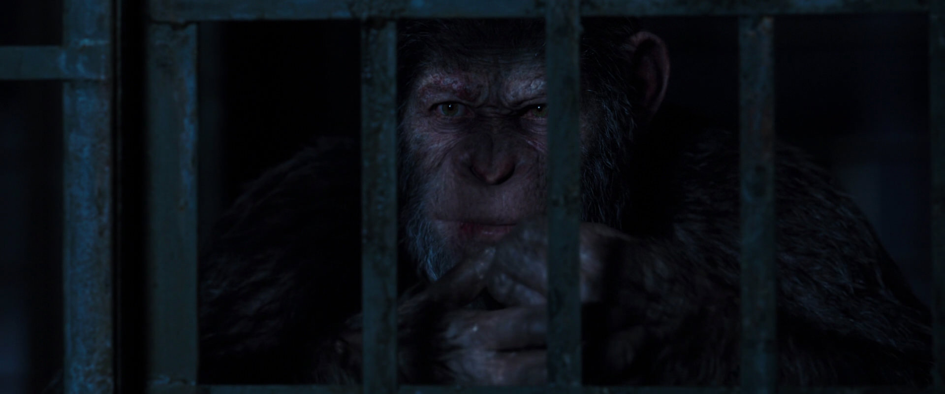 War for the Planet of the Apes (2017) screencap 12546