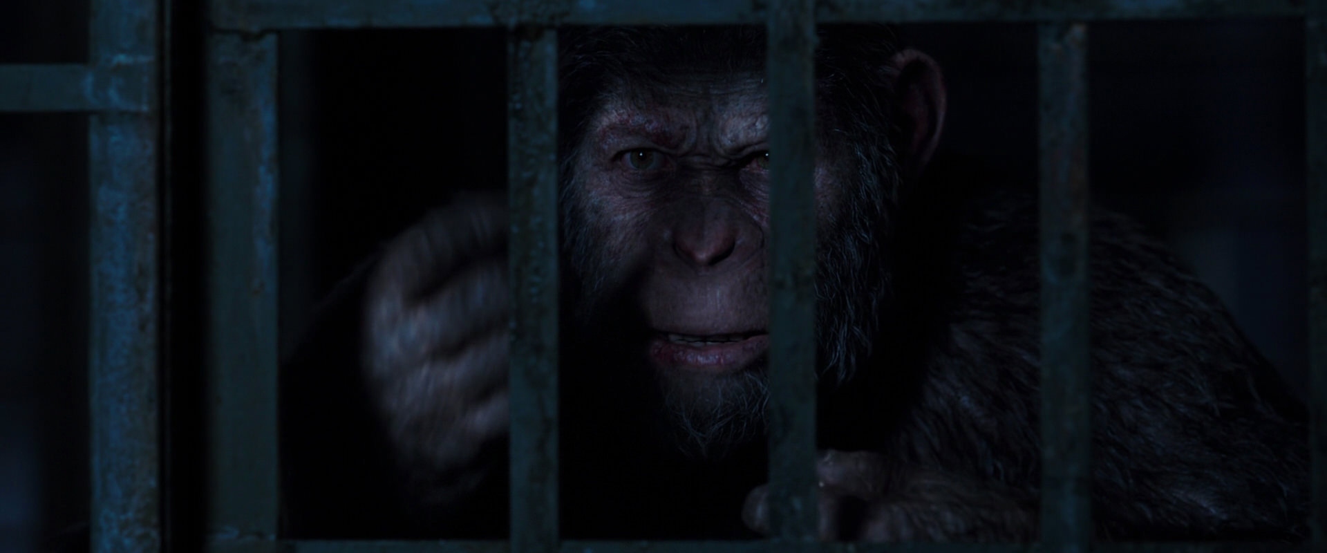 War for the Planet of the Apes (2017) movie still 12547