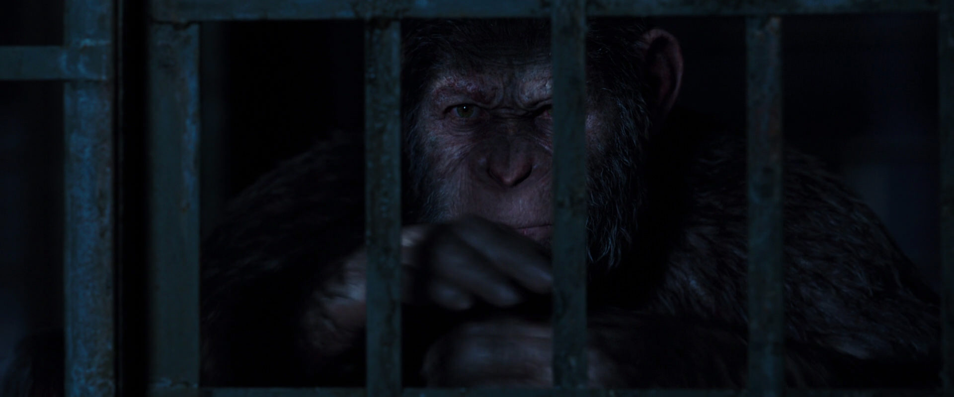 War for the Planet of the Apes (2017) HD screenshot 12548