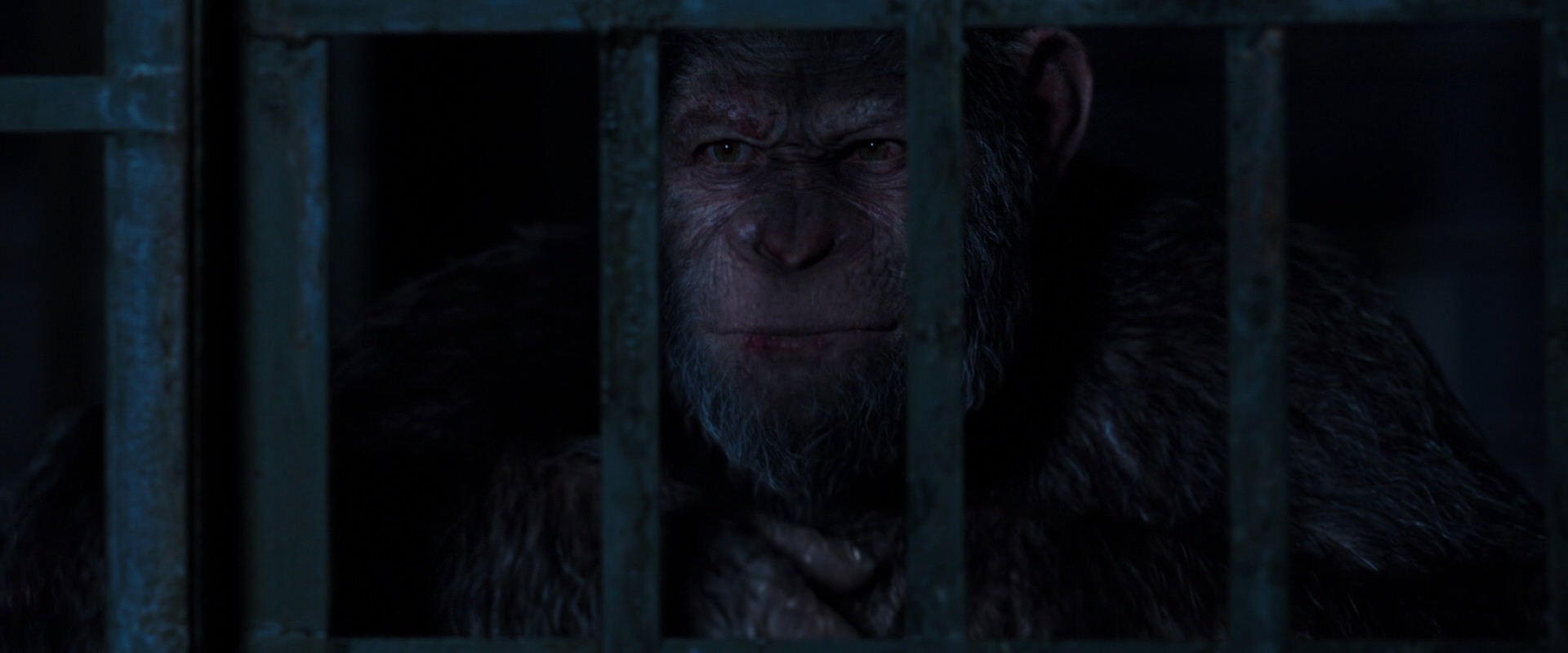 War for the Planet of the Apes (2017) screencap 12549
