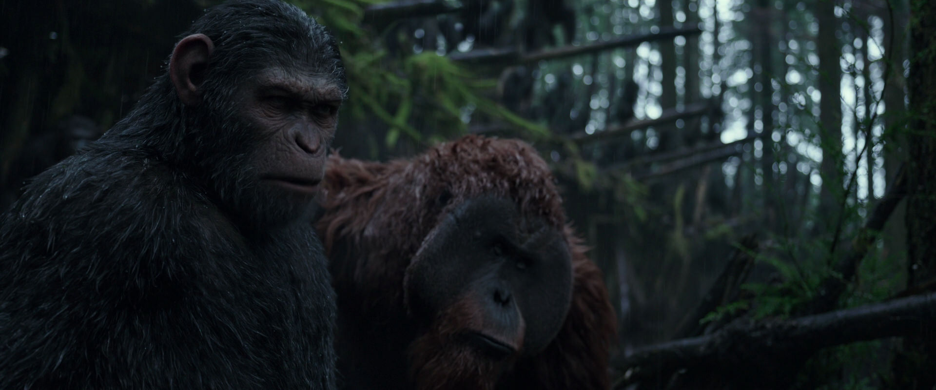 War for the Planet of the Apes (2017) movie still 1255