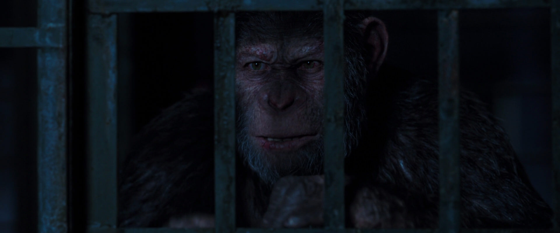 War for the Planet of the Apes (2017) movie still 12550