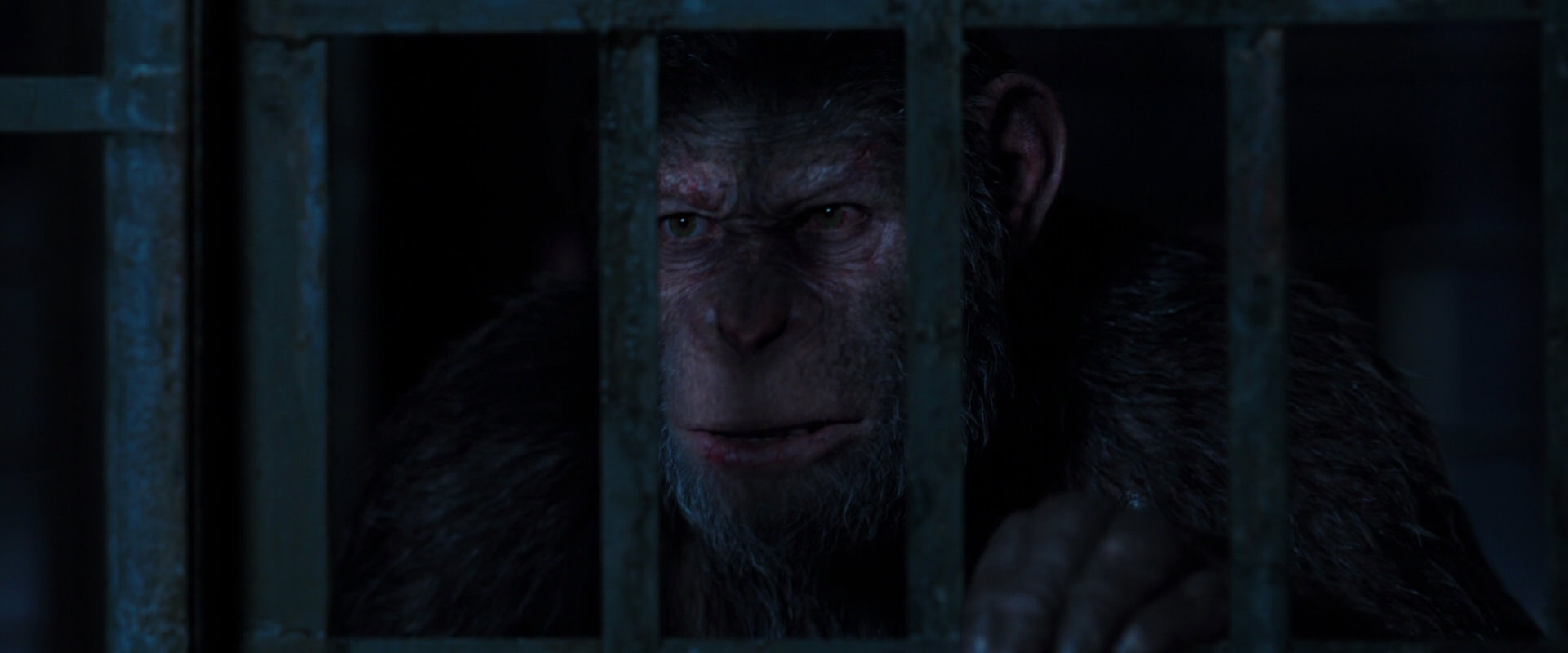 War for the Planet of the Apes (2017) HD screenshot 12551