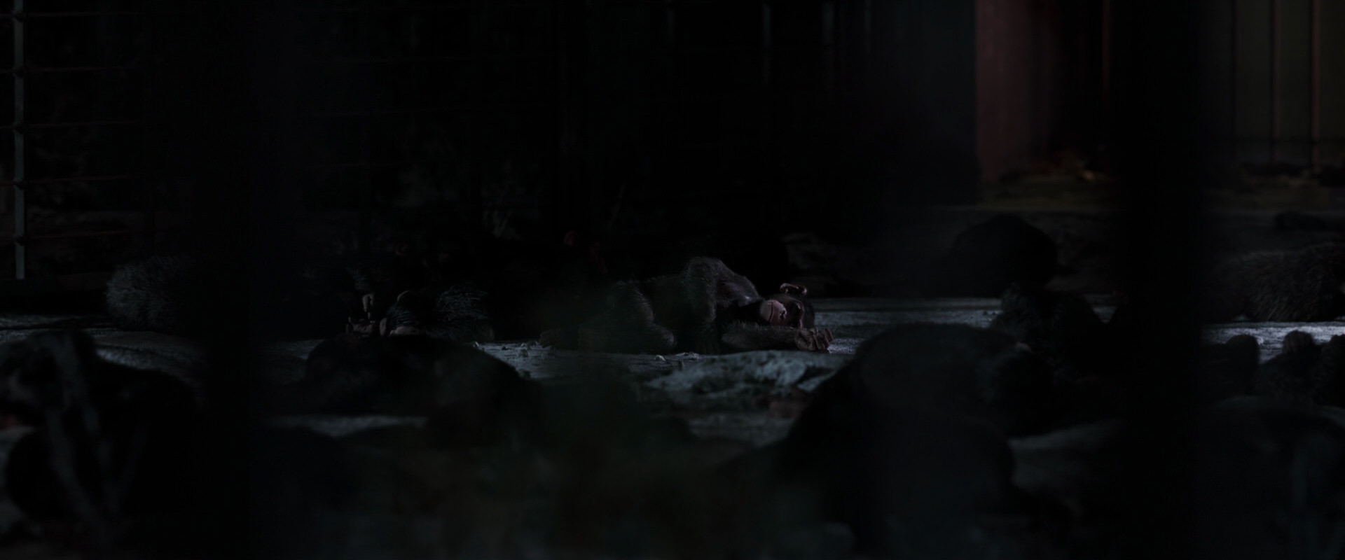 War for the Planet of the Apes (2017) screencap 12555