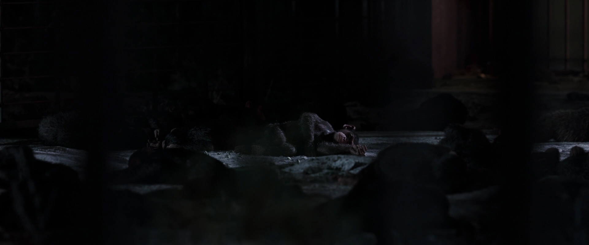 War for the Planet of the Apes (2017) screencap 12558