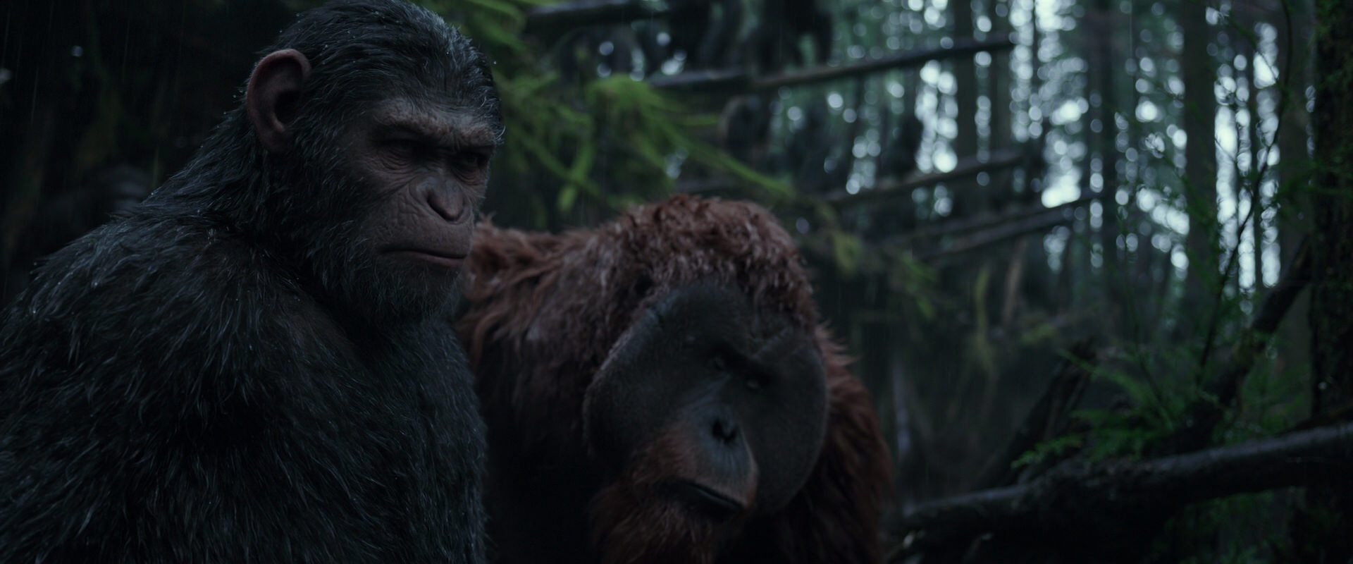 War for the Planet of the Apes (2017) HD screenshot 1256