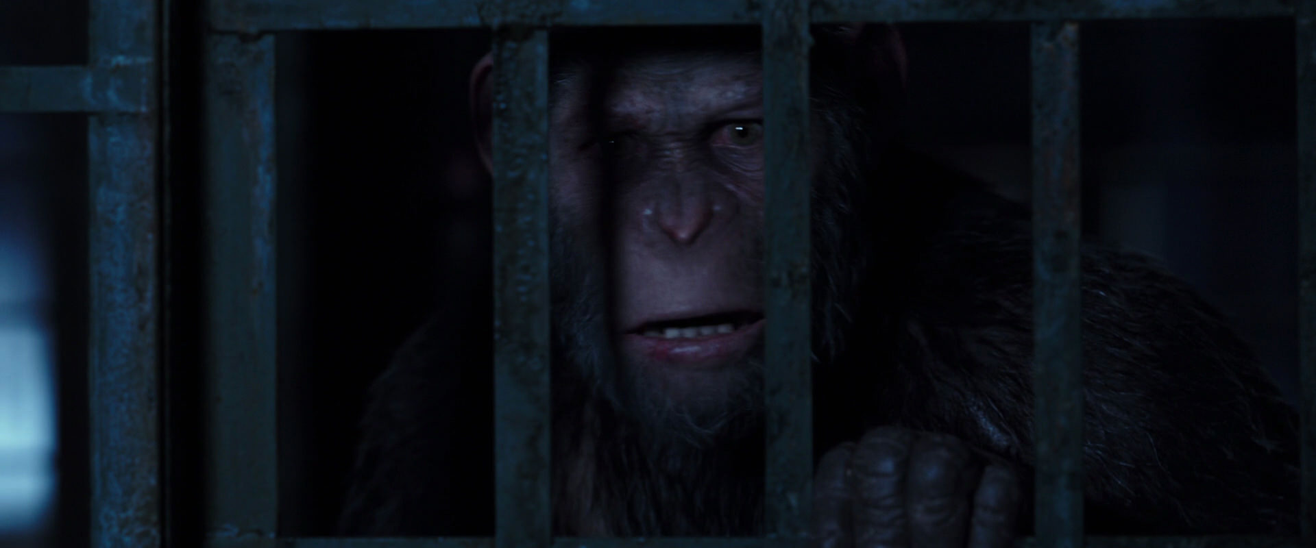 War for the Planet of the Apes (2017) HD screenshot 12560