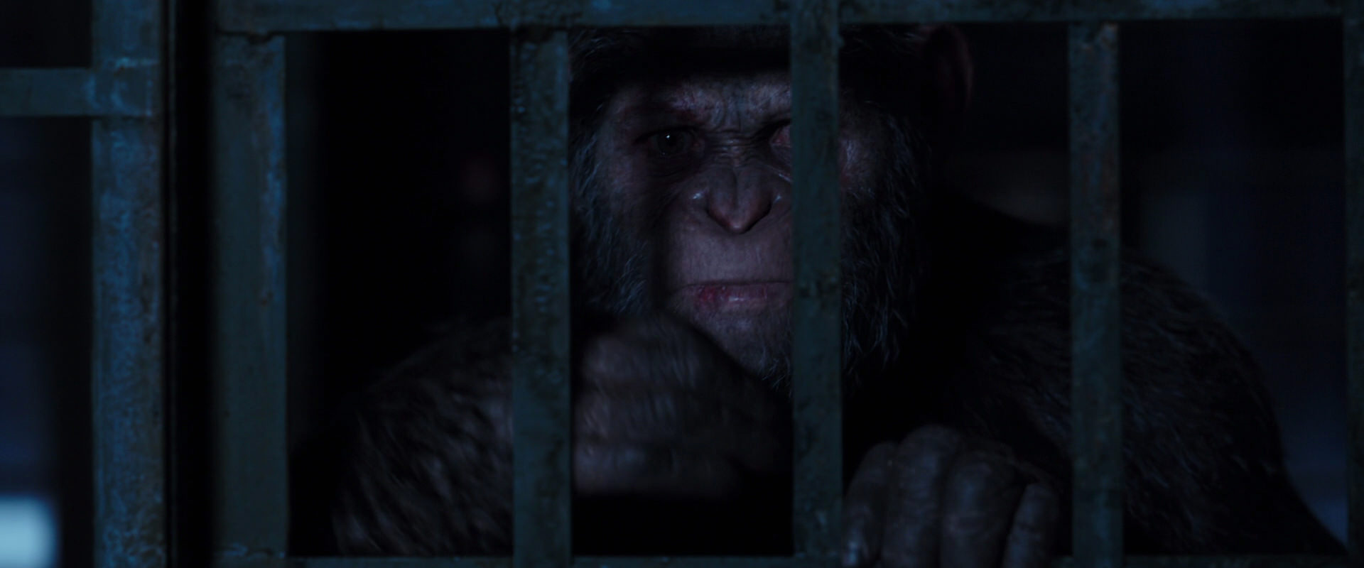 War for the Planet of the Apes (2017) screencap 12561