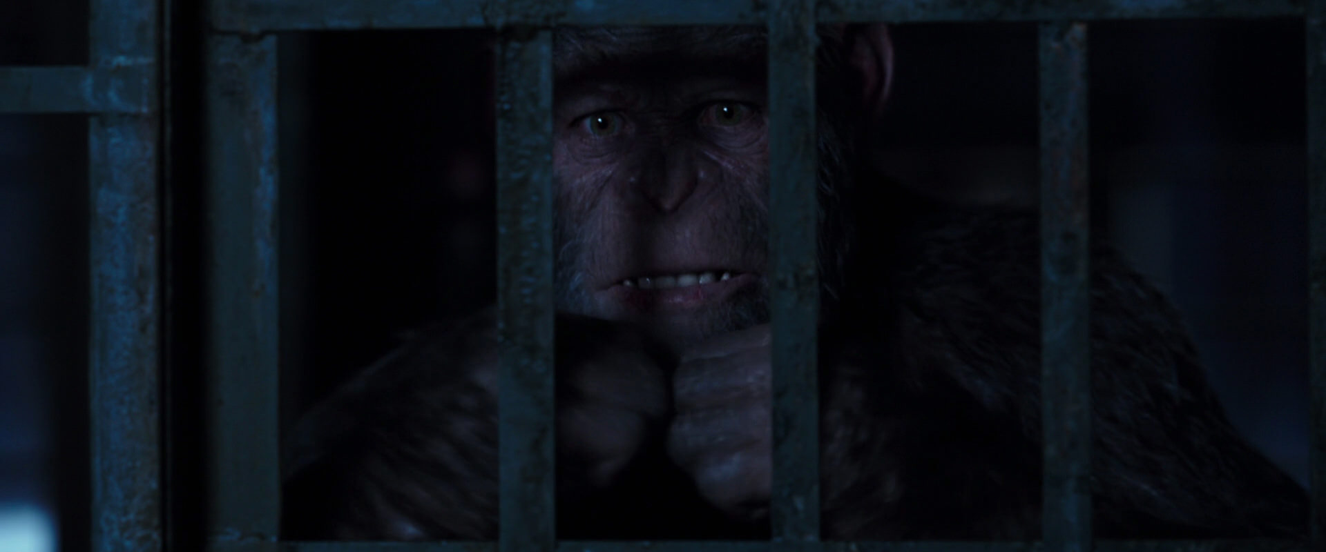 War for the Planet of the Apes (2017) movie still 12562