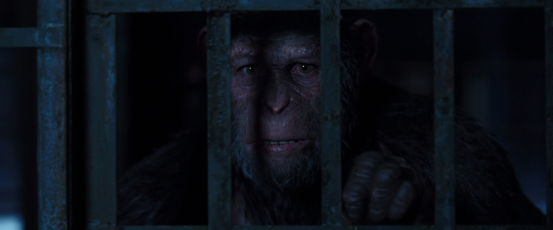 War for the Planet of the Apes (2017) HD screenshot 12563