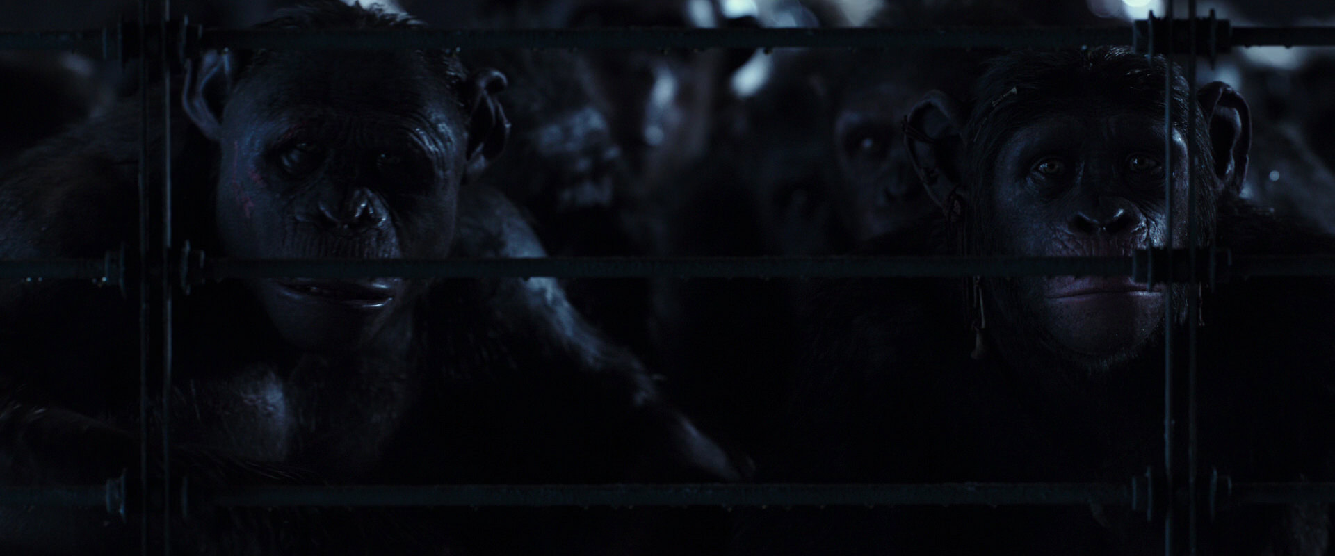 War for the Planet of the Apes (2017) screencap 12564