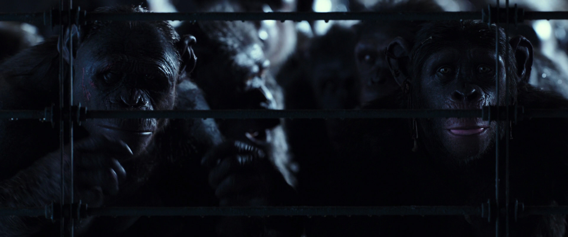 War for the Planet of the Apes (2017) movie still 12565