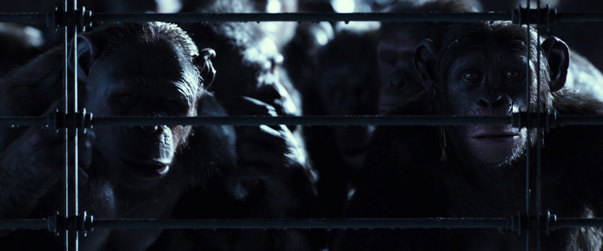 War for the Planet of the Apes (2017) HD screenshot 12566