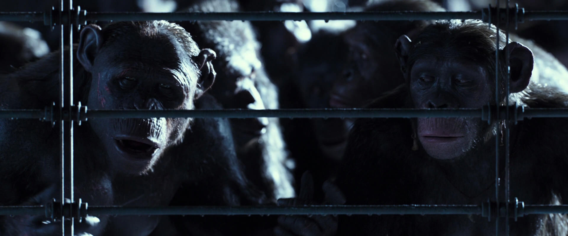 War for the Planet of the Apes (2017) screencap 12567