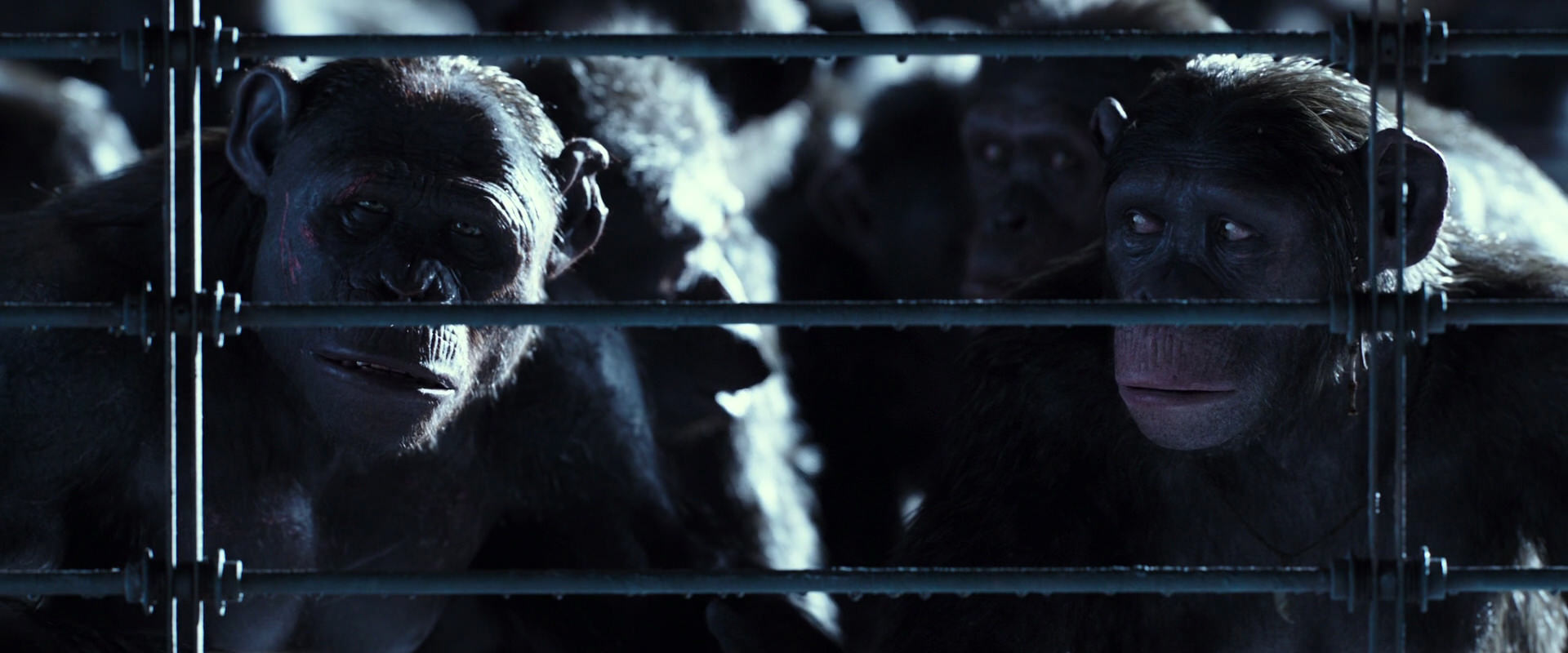 War for the Planet of the Apes (2017) movie still 12568